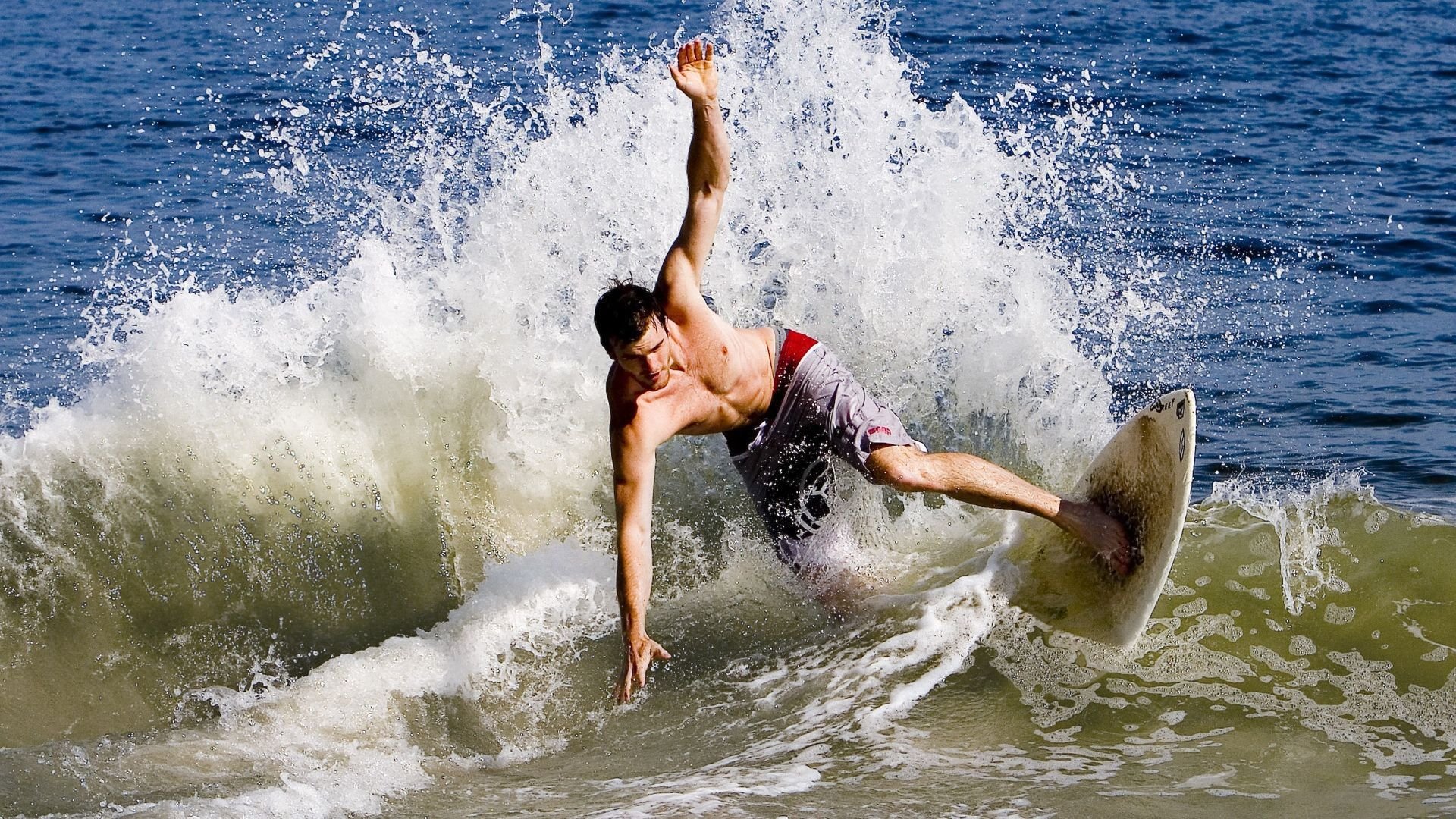 南非羚羊队的球员:每个位置都具备极高的竞技水平和战术意识,南非大羚羊主要分布哪里