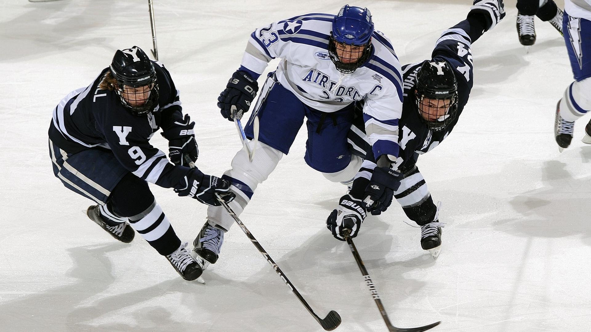 开云体育官网在线-国家健身研究院发布新训练方法及实验结果，国家认证健身学院